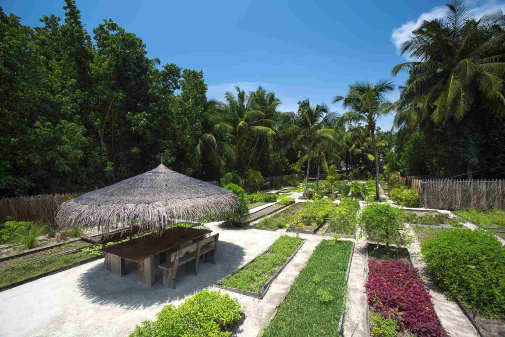 Bio-Garten im Gili Lankanfushi