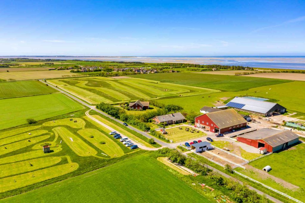 Hinrichsens Familienfarm auf Föhr