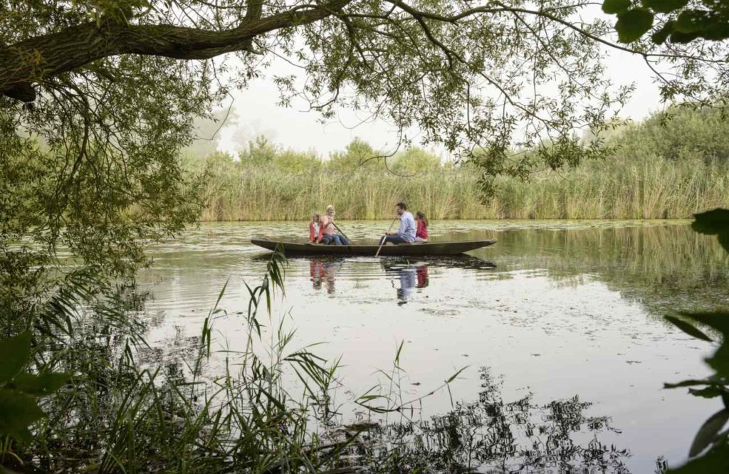 Mit dem Kanu auf einem Fluss in der Südpfalz