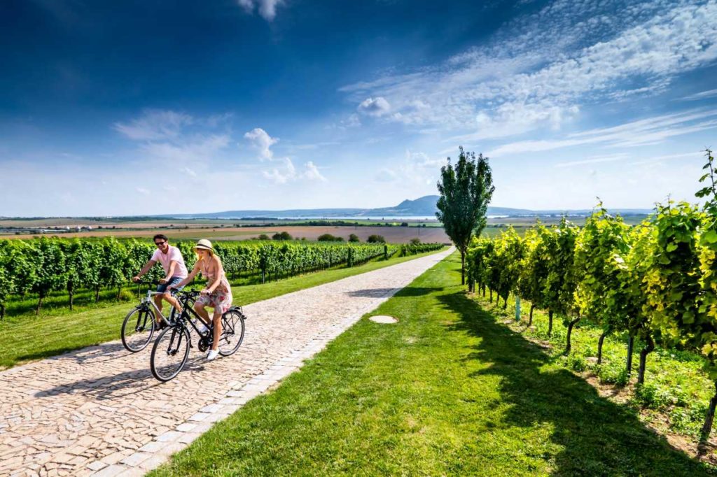 Fahrradtour Weinberge Südmähren