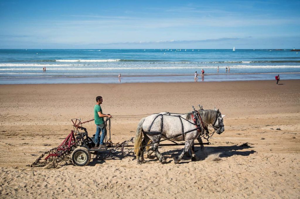 Strandreinigung mit Pferd in Saint-Gilles-Croix-de-Vie