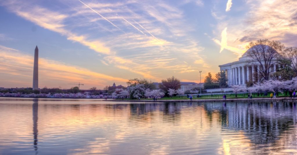 Jefferson Memorial und Washington Monument zur Kirschblüte