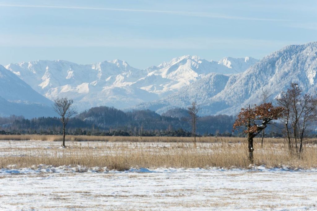 Murnauer Moos im Winter