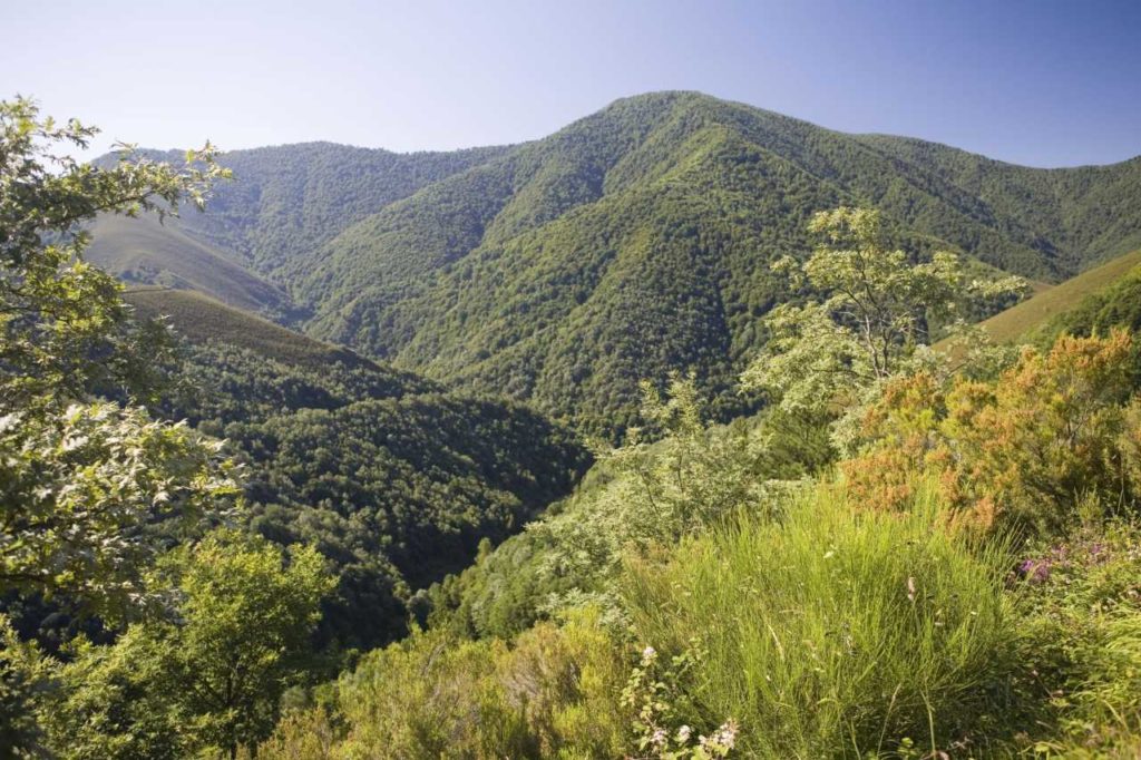 Biosphärenreservat von Muniellos Asturien