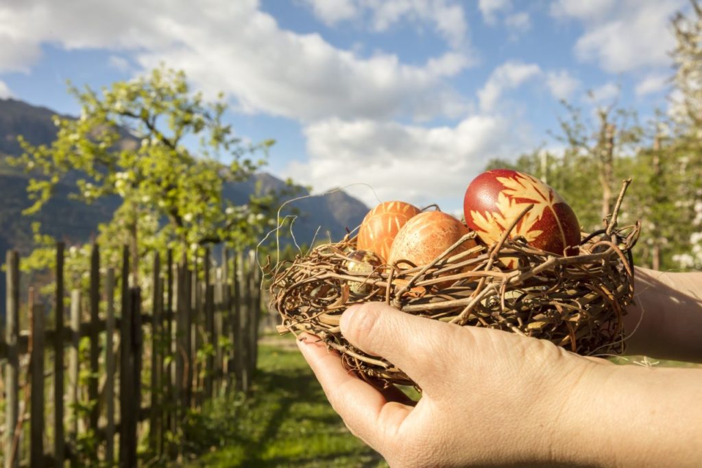 Braun gefärbte Ostereier Roter Hahn