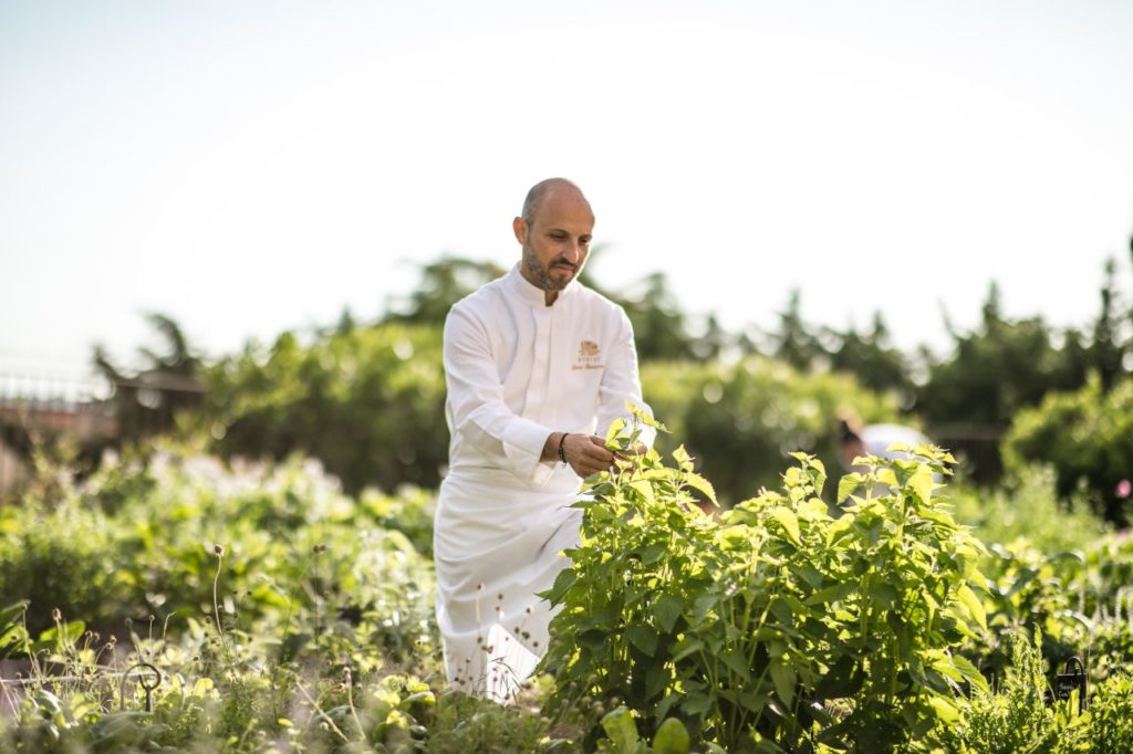 Garten in Permakultur des Hotel Byblos in Saint-Tropez