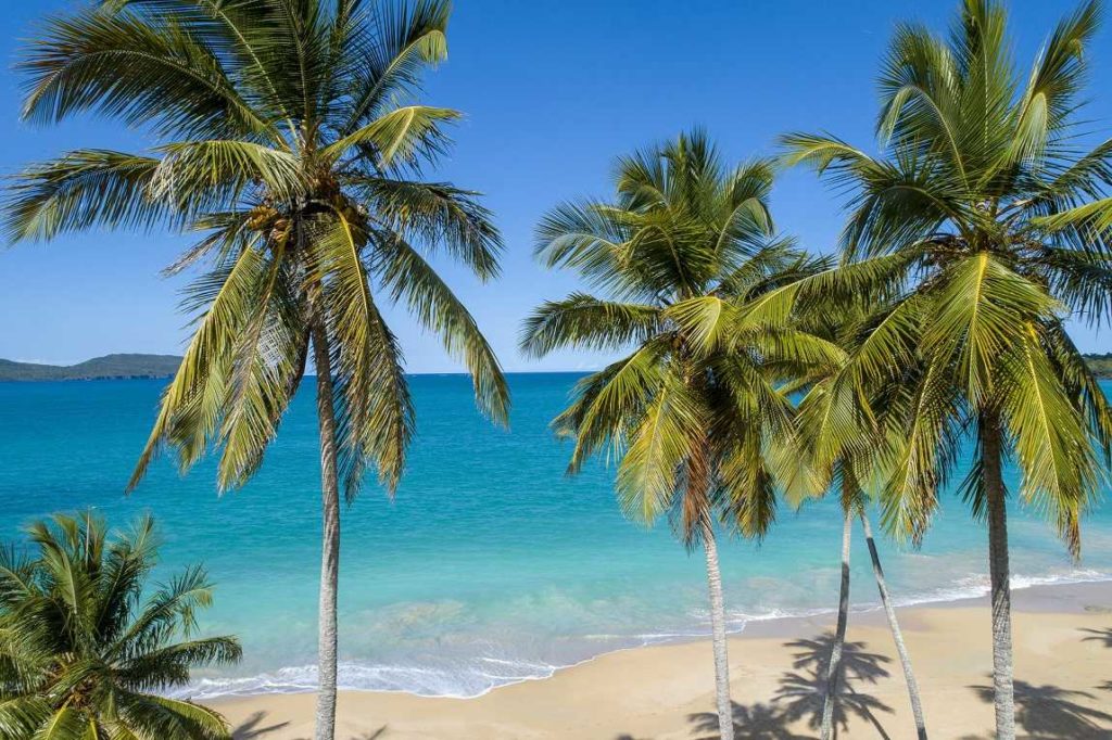 Playa Colorada Las Galeras