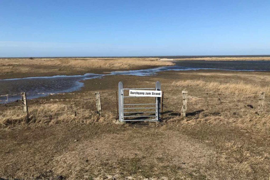 Sörenwaii Vorland Föhr - Deich und Strand