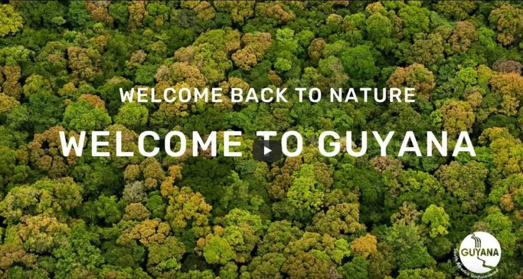 Welcome back to Nature Guyana