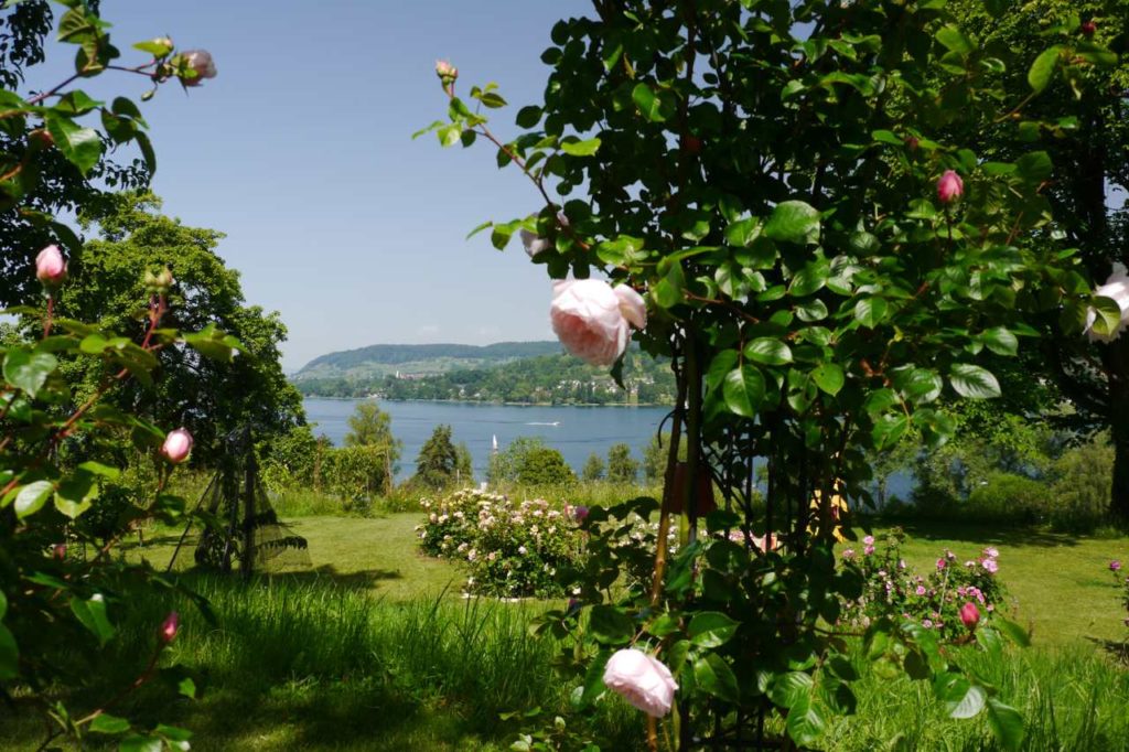 Privatgarten Familie Kohler Mammern Bodensee