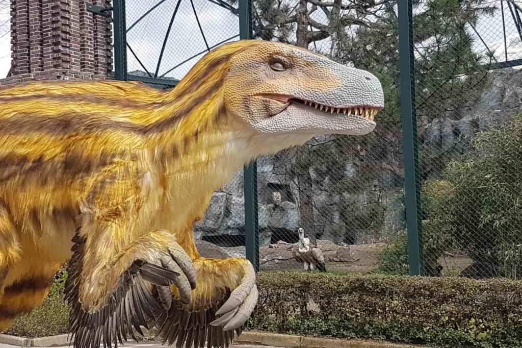 Dino und Gänsegeier im Zoo Leipzig