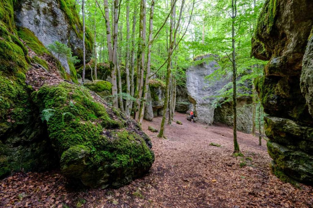 Naturschutz und Klettersport Nürnberger Land