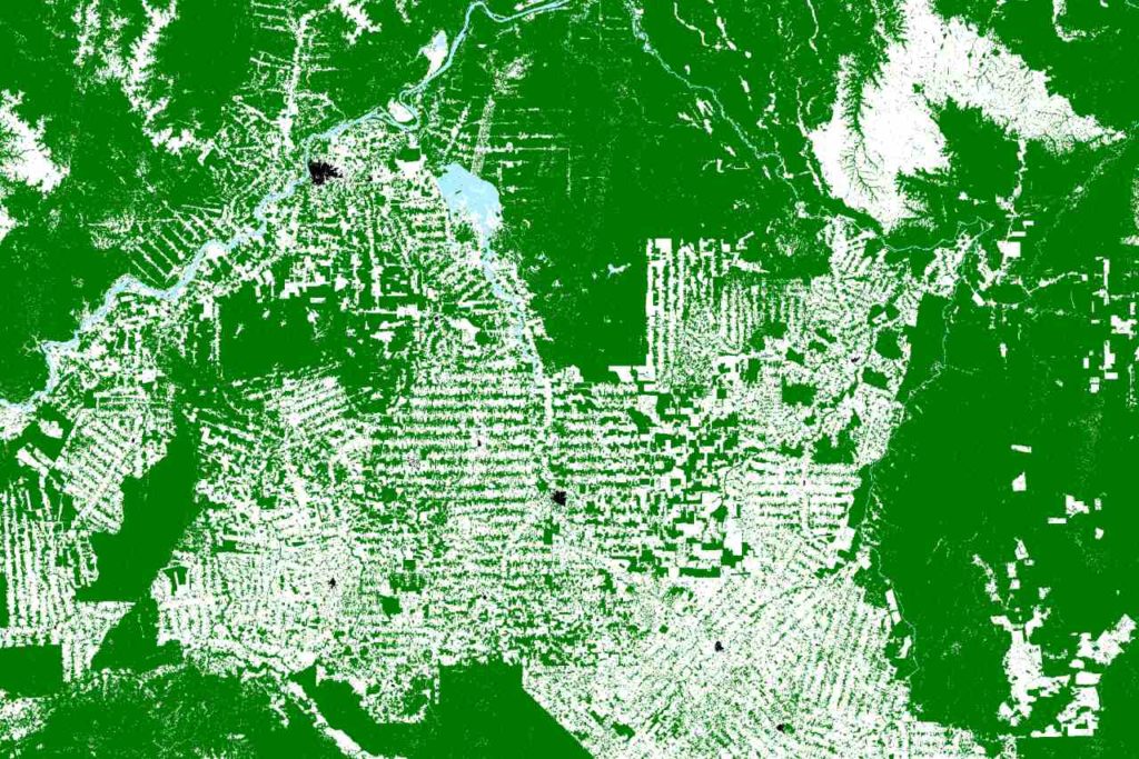 Abholzung Regenwald Brasilien Satellitenperspektive