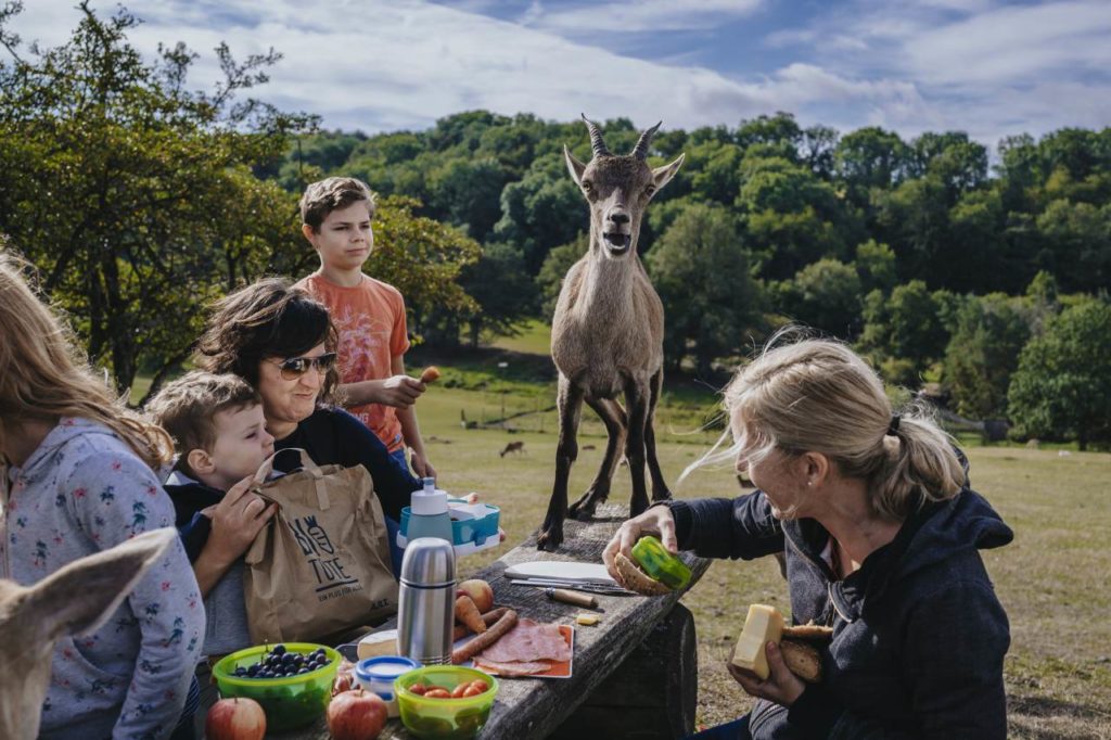 safari park freier eintritt