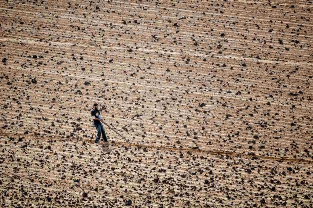 Traditionelle Landwirtschaft Lanzarote