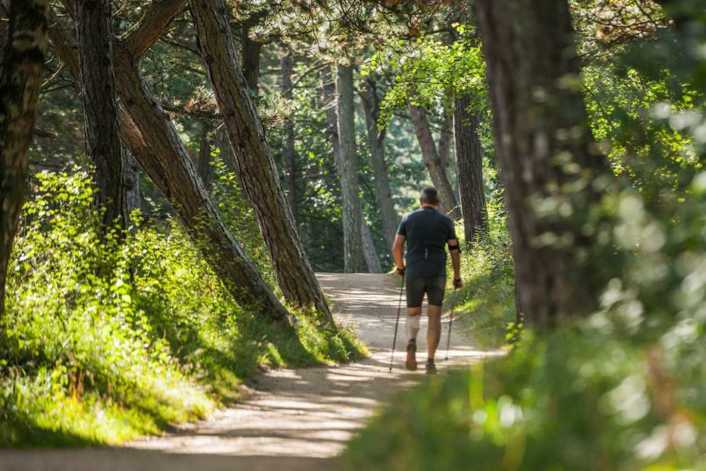 Wanderer im Kiefernwald St.Peter-Ording