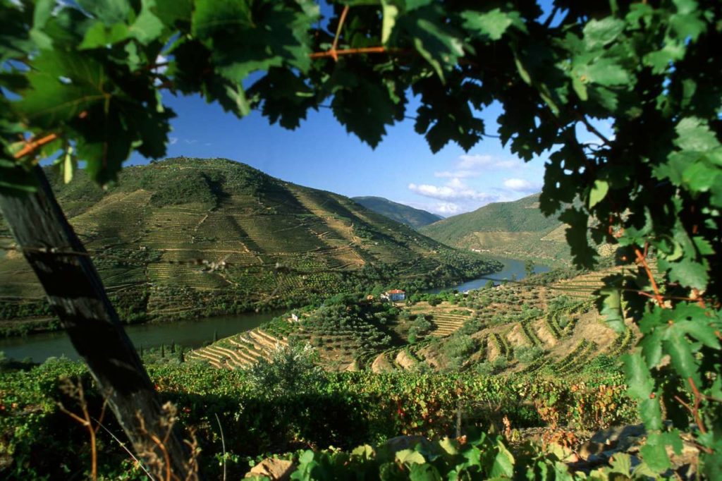 Douro-Tal grüne Hänge