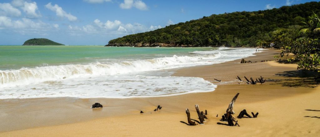 Goldgelber Strand auf Guadeloupe