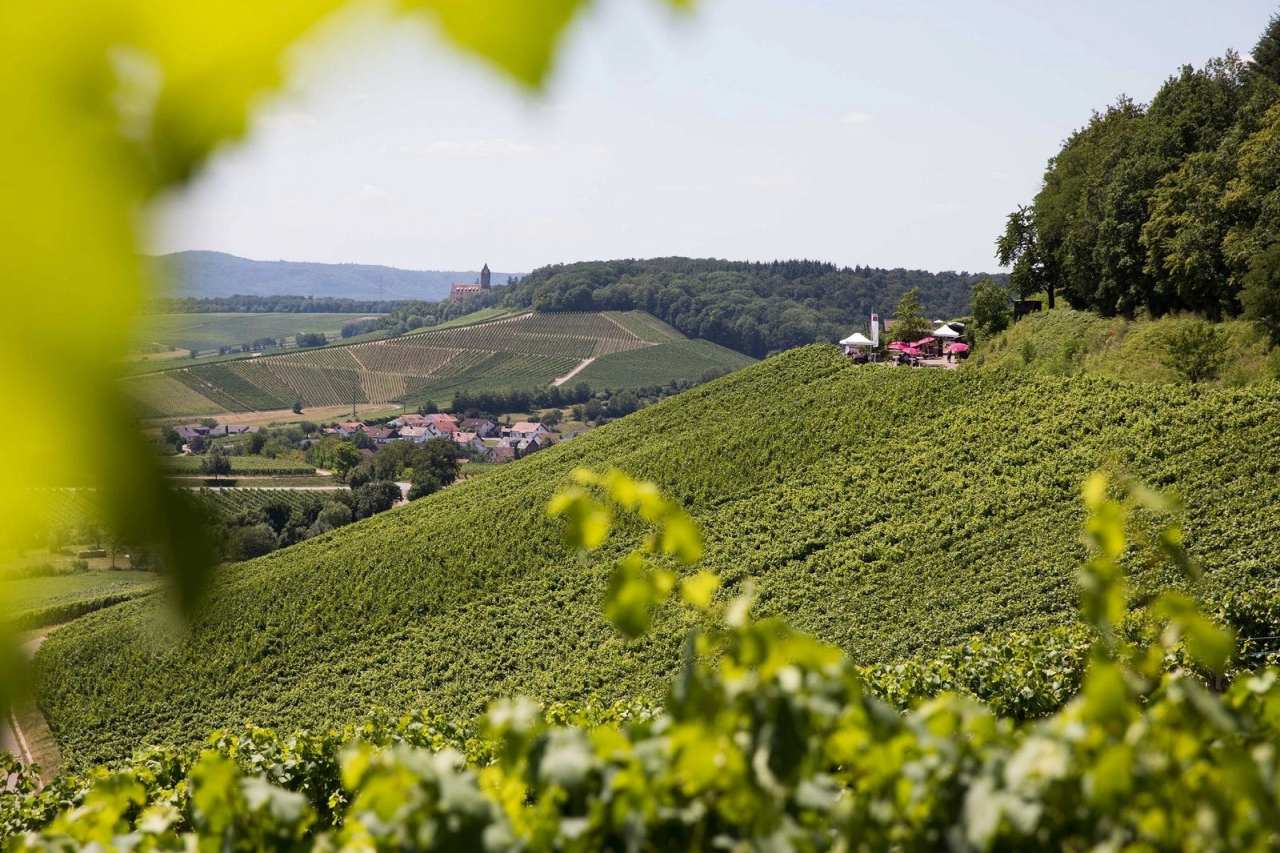 Blick auf Schloss Stocksberg im Kraichgau