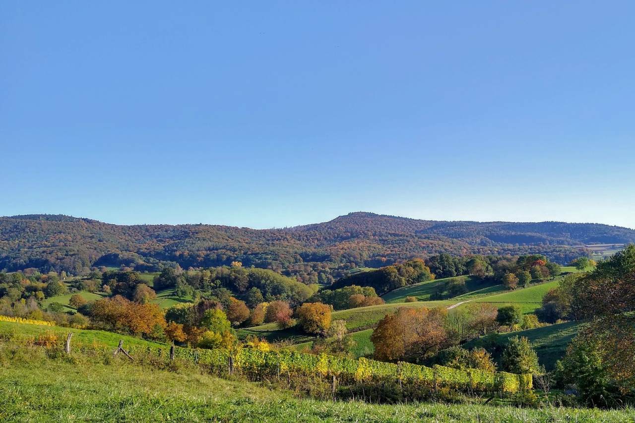 Odenwald Grenze Baden-Württemberg und Hessen