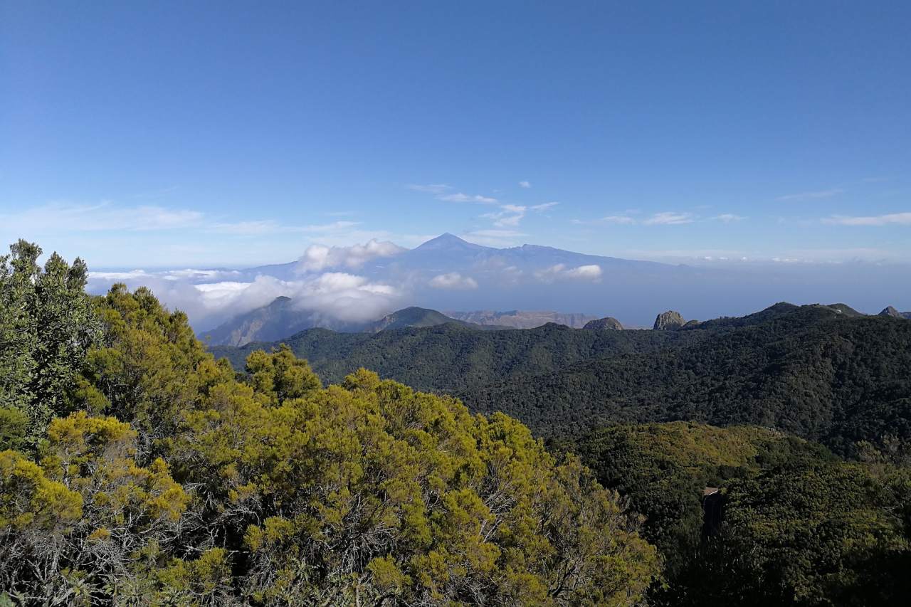 Garajonay Nationalpark UNESCO-Weltnaturerbe