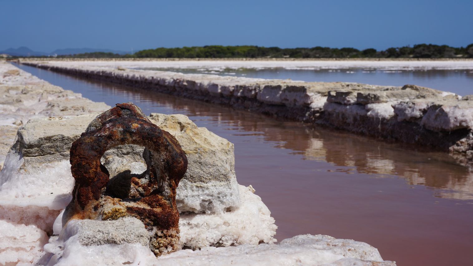 Ses Salines Formentera Salzkristalle