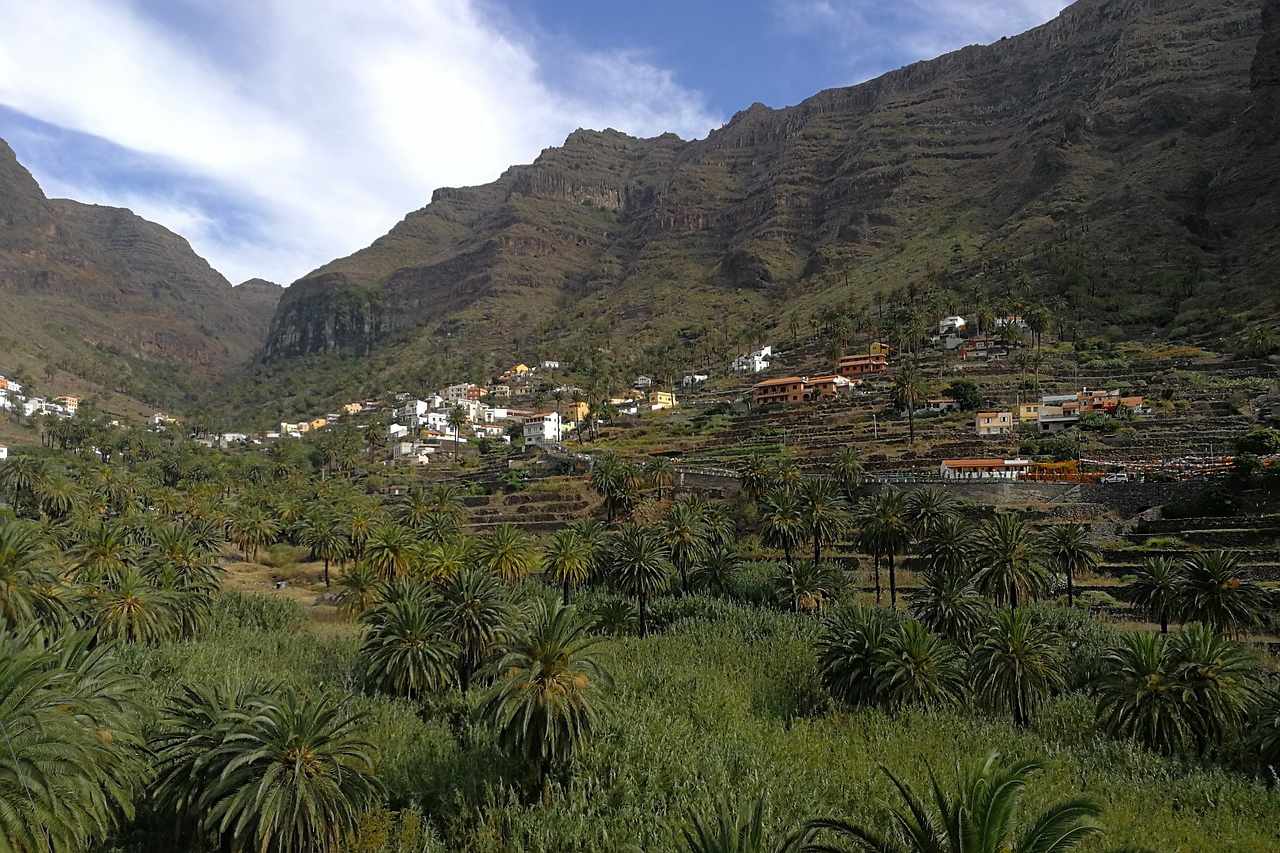 Valle Gran Rey grüne Palmenlandschaft