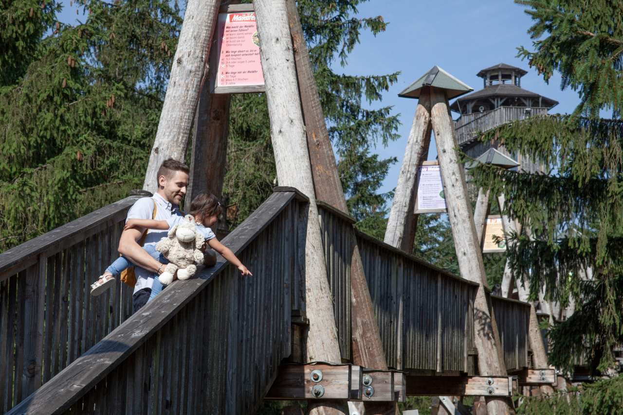 Baumkronenweg Kopfing Familie