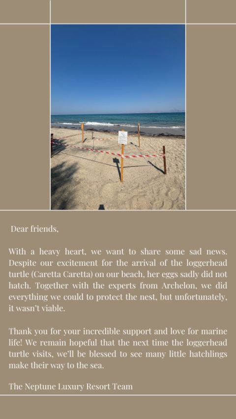 Caretta Caretta Story Neptune Luxury Resort