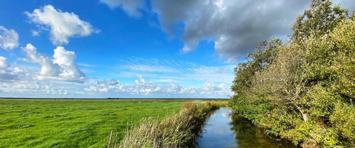 Burggraben der Wogemannsburg in Westerhever