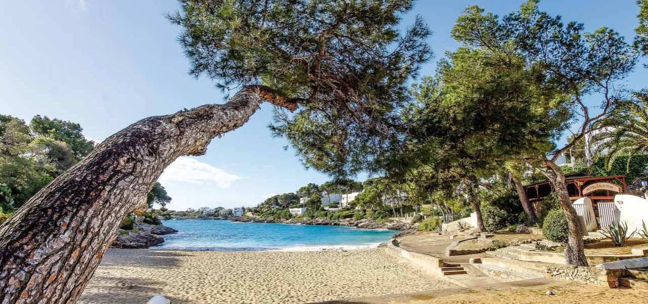 Cala d'Or Strand