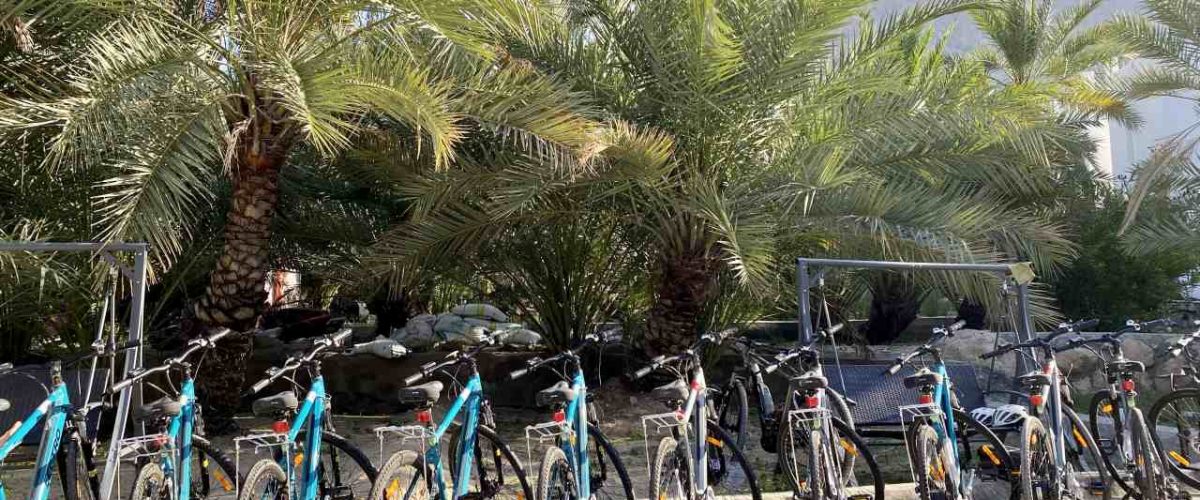 E-Bikes im Wadi Al Arbeieen