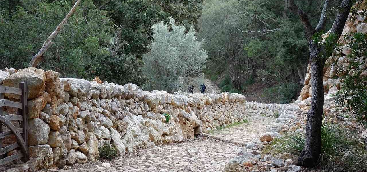 Esporles Mallorca traditioneller Steinweg