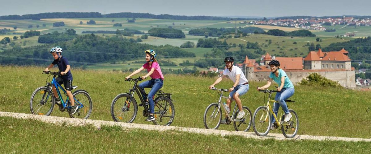 Fahrradfahrer in der Rieslandschaft mit Harburgblick