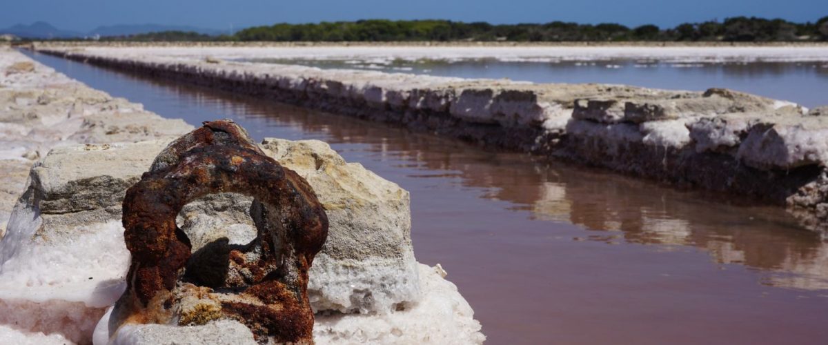 Ses Salines Formentera Salzkristalle