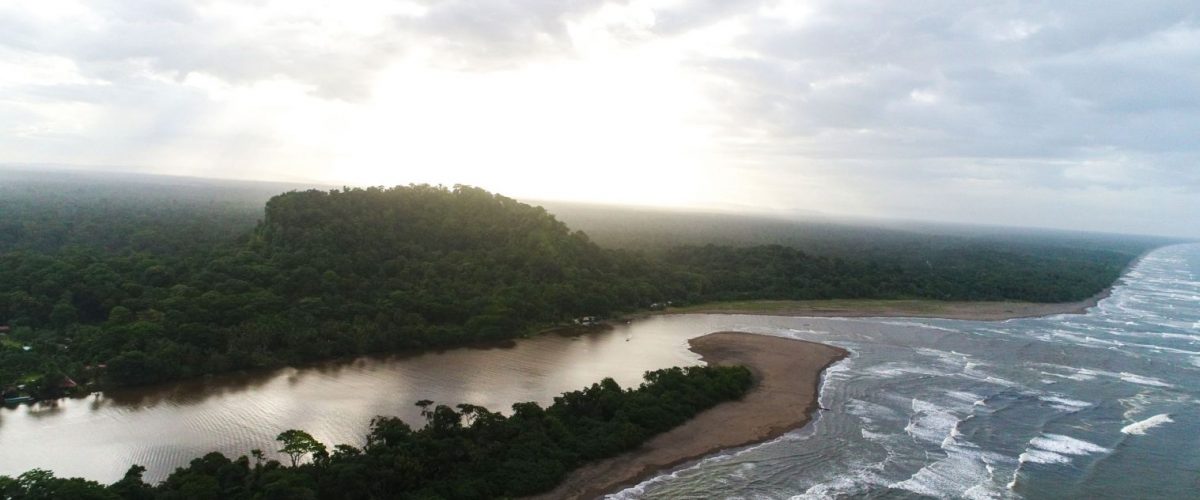 Tortuguero Nationalpark Karibikküste Costa Rica