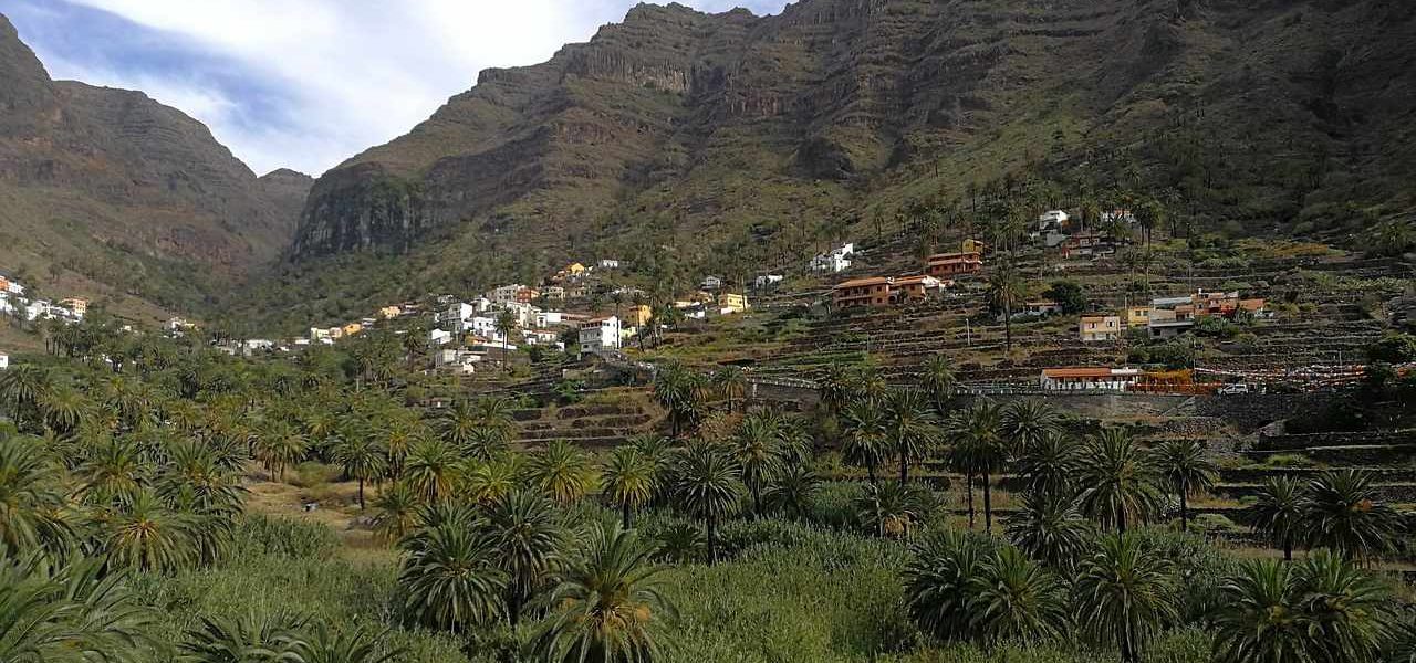 Valle Gran Rey grüne Palmenlandschaft