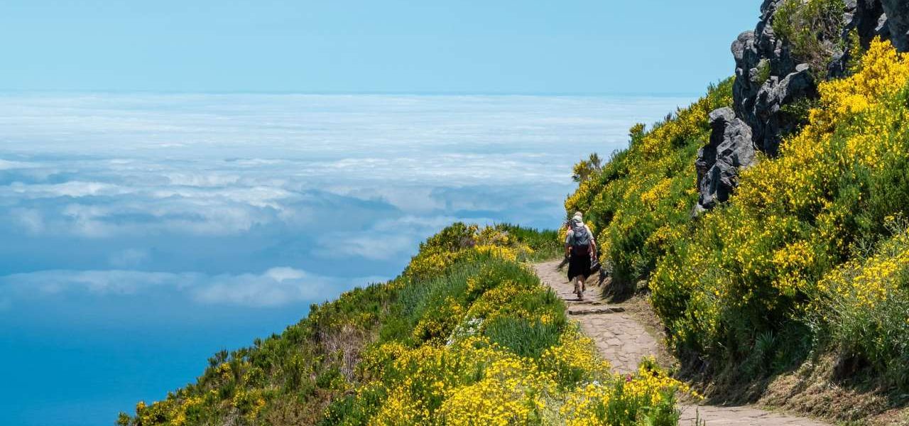 Wanderweg auf Madeira mit Küstenblick